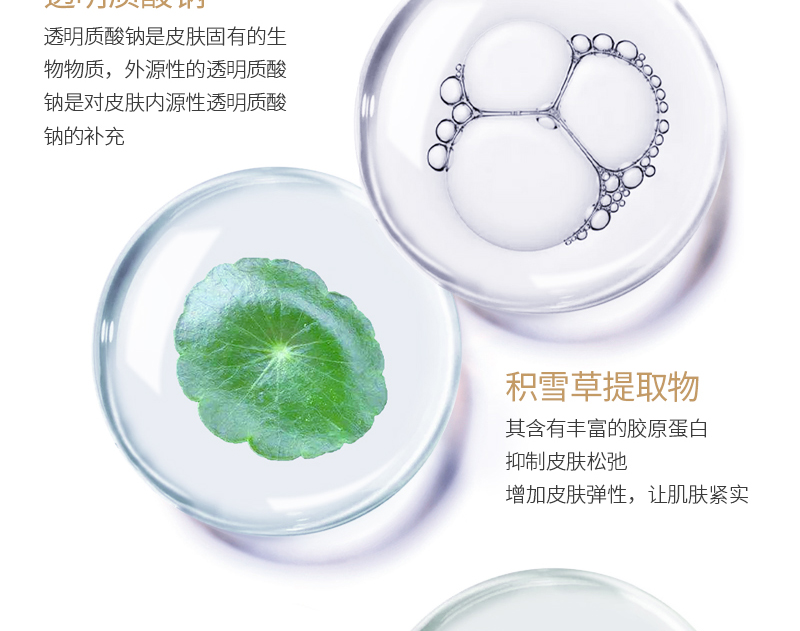 �����ľ��AҺ