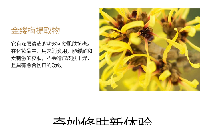 Ԕ��-����澏���AҺ